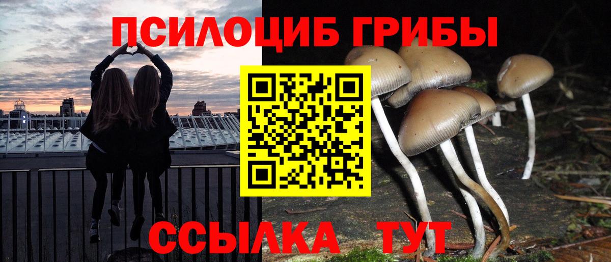 Псилоцибиновые грибы ЛСД Ливны